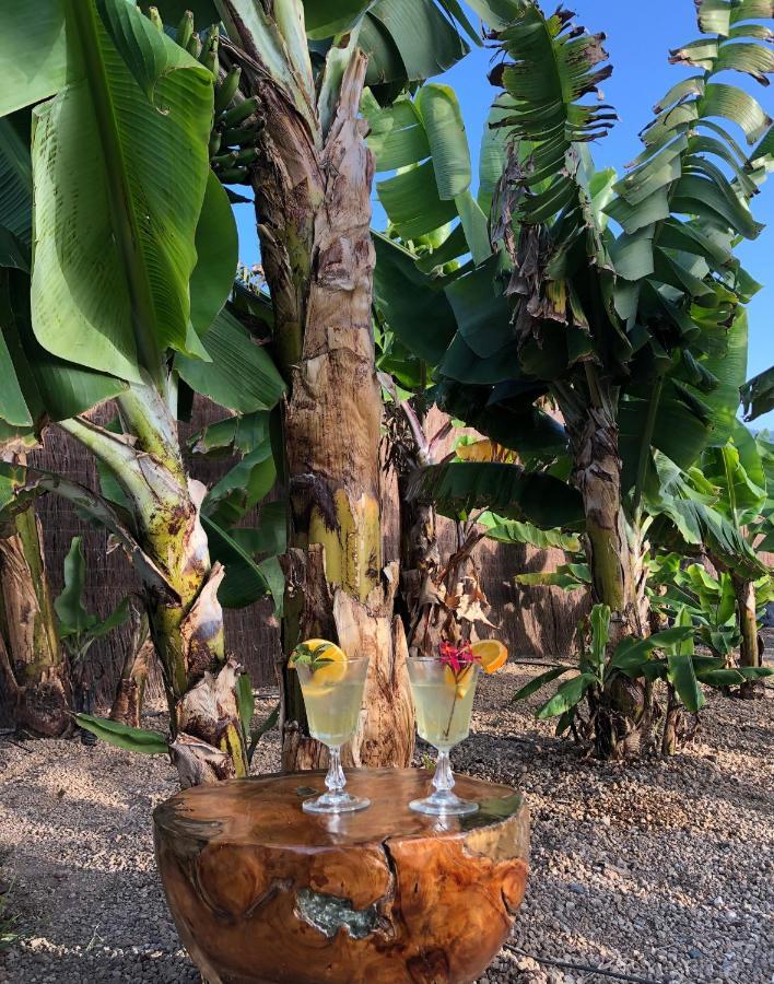 Villa Afrikan Krisant Tenerife, Ecologica