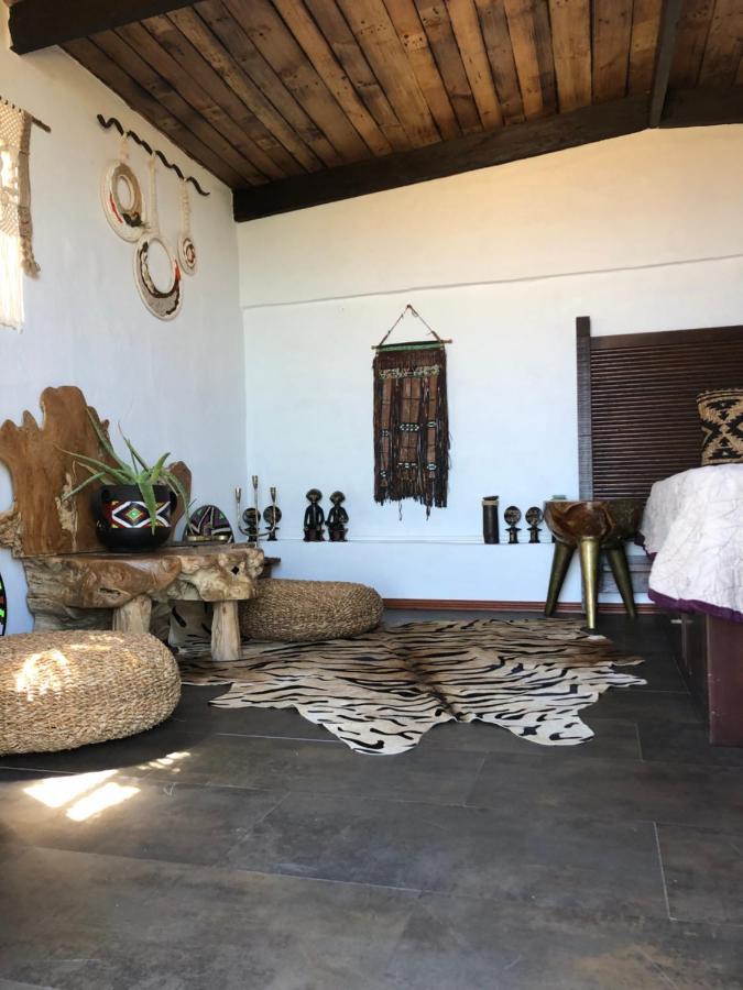 Afrikan Krisant Tenerife, Ecologica Villa Arafo
