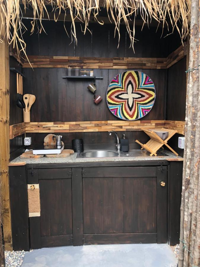 Afrikan Krisant Tenerife, Ecologica Villa