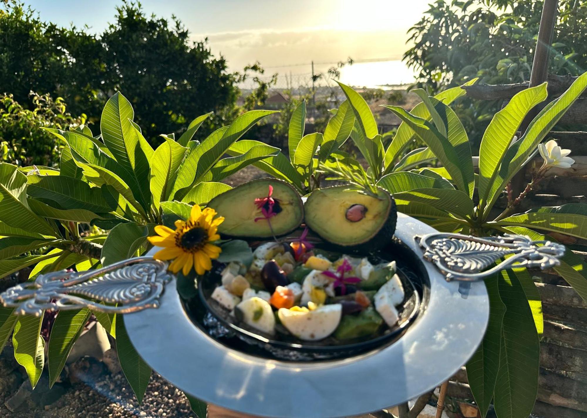 Afrikan Krisant Tenerife, Ecologica Villa