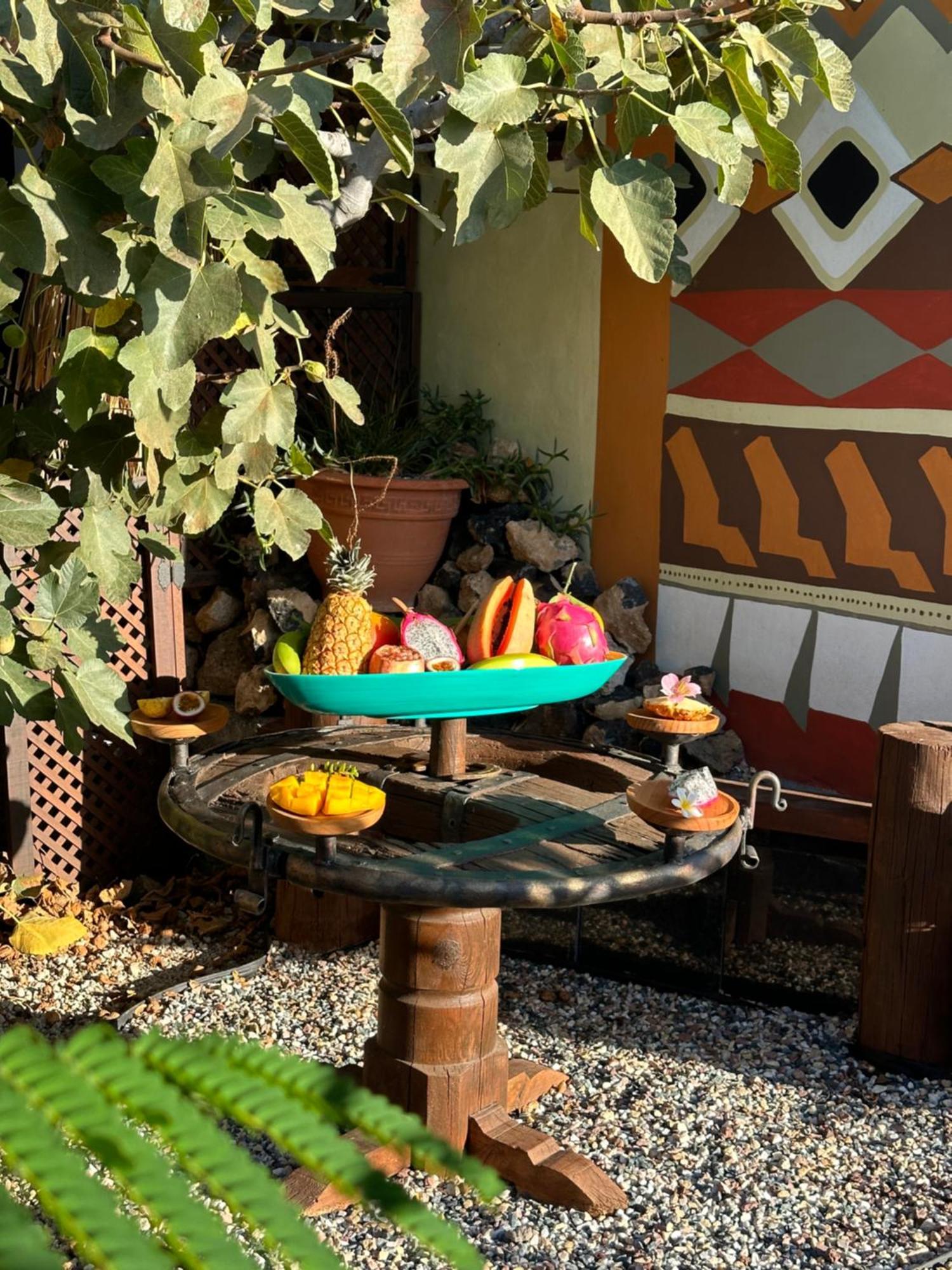 Afrikan Krisant Tenerife, Ecologica *
