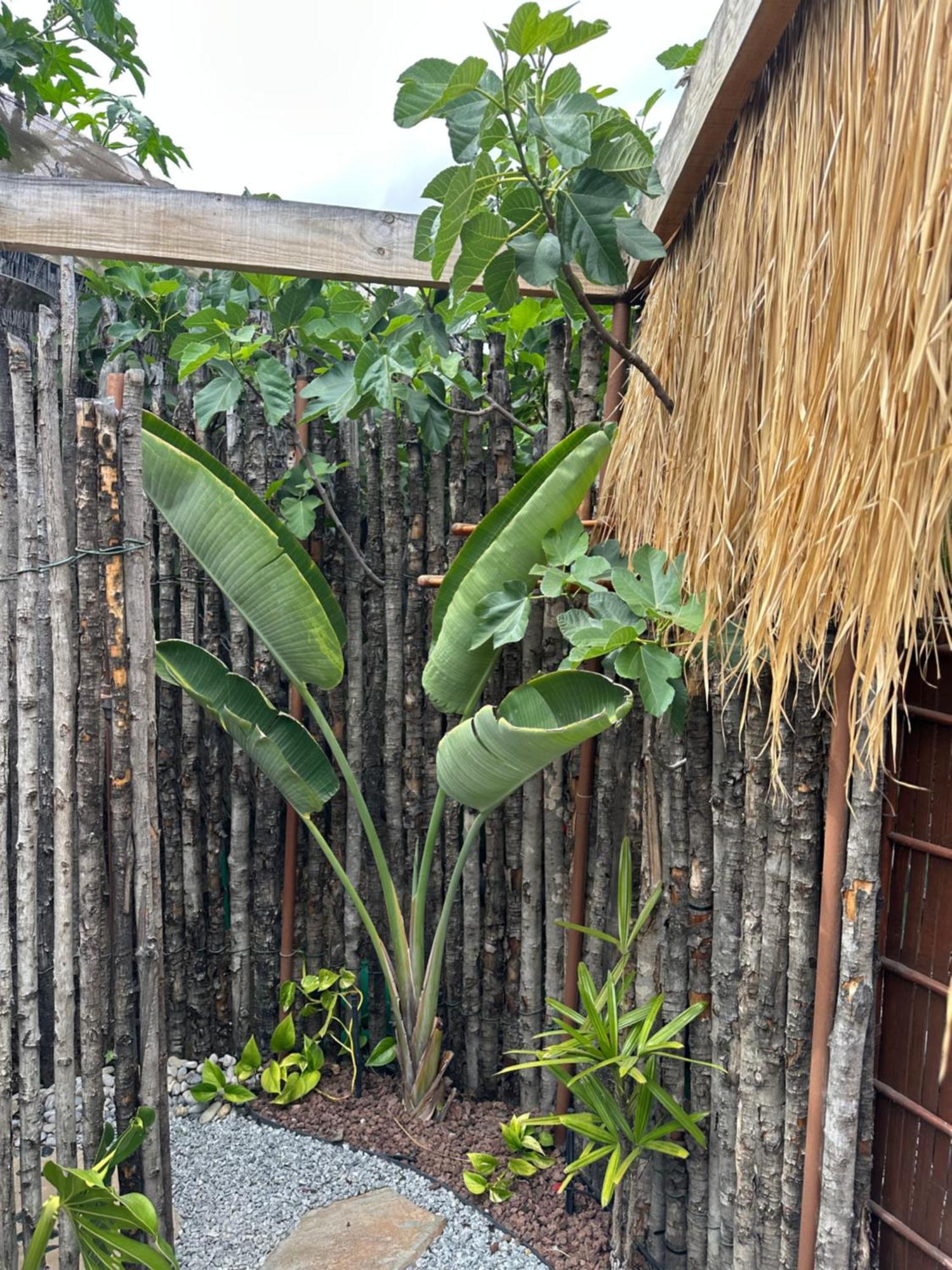 Villa Afrikan Krisant Tenerife, Ecologica Arafo