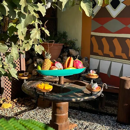 Afrikan Krisant Tenerife, Casa Rural Ecologica Arafo Exterior photo