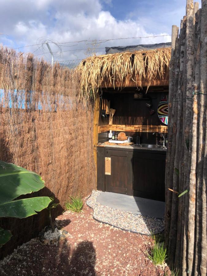 Afrikan Krisant Tenerife, Ecologica Villa
