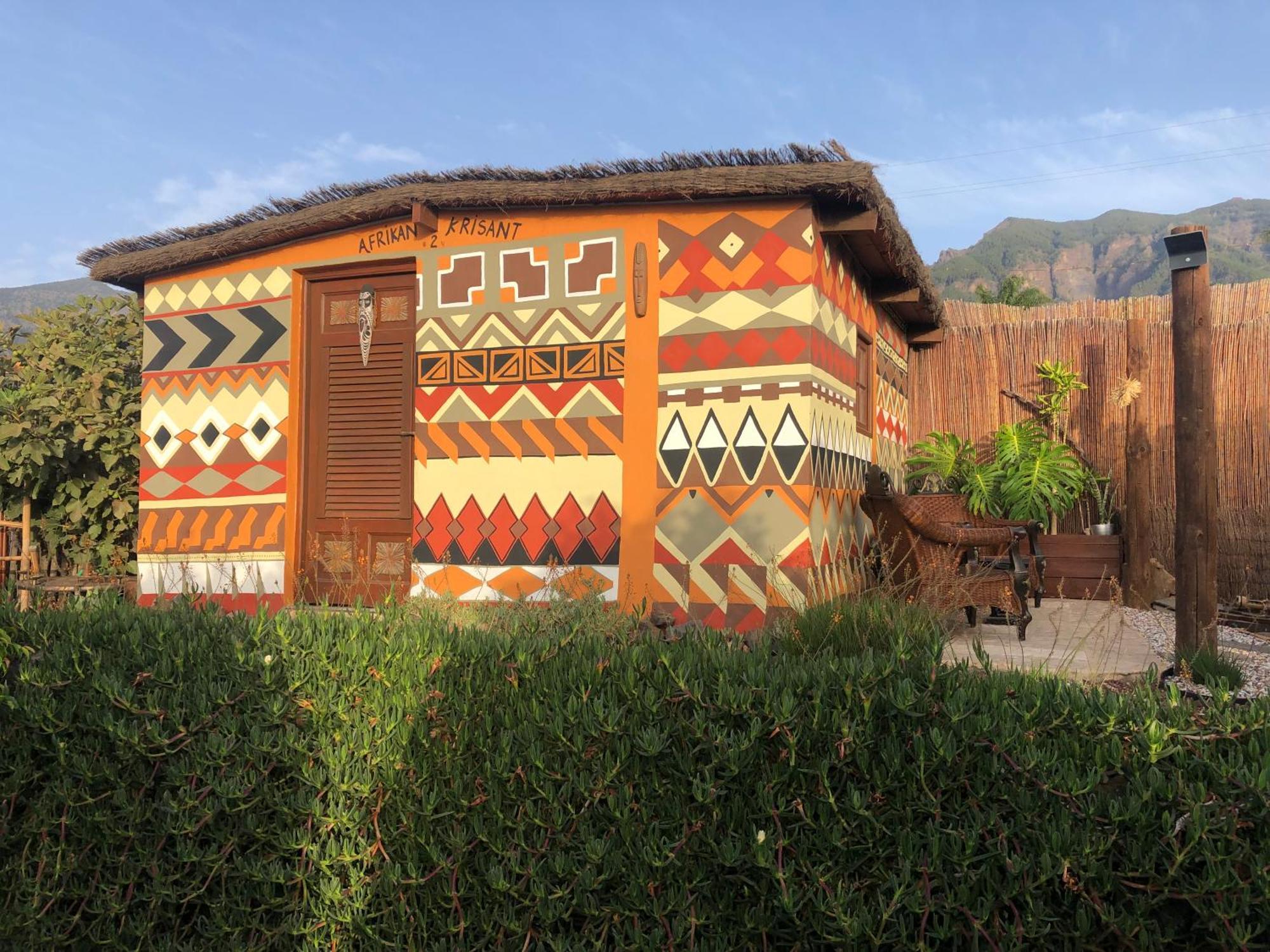 Afrikan Krisant Tenerife, Ecologica Arafo