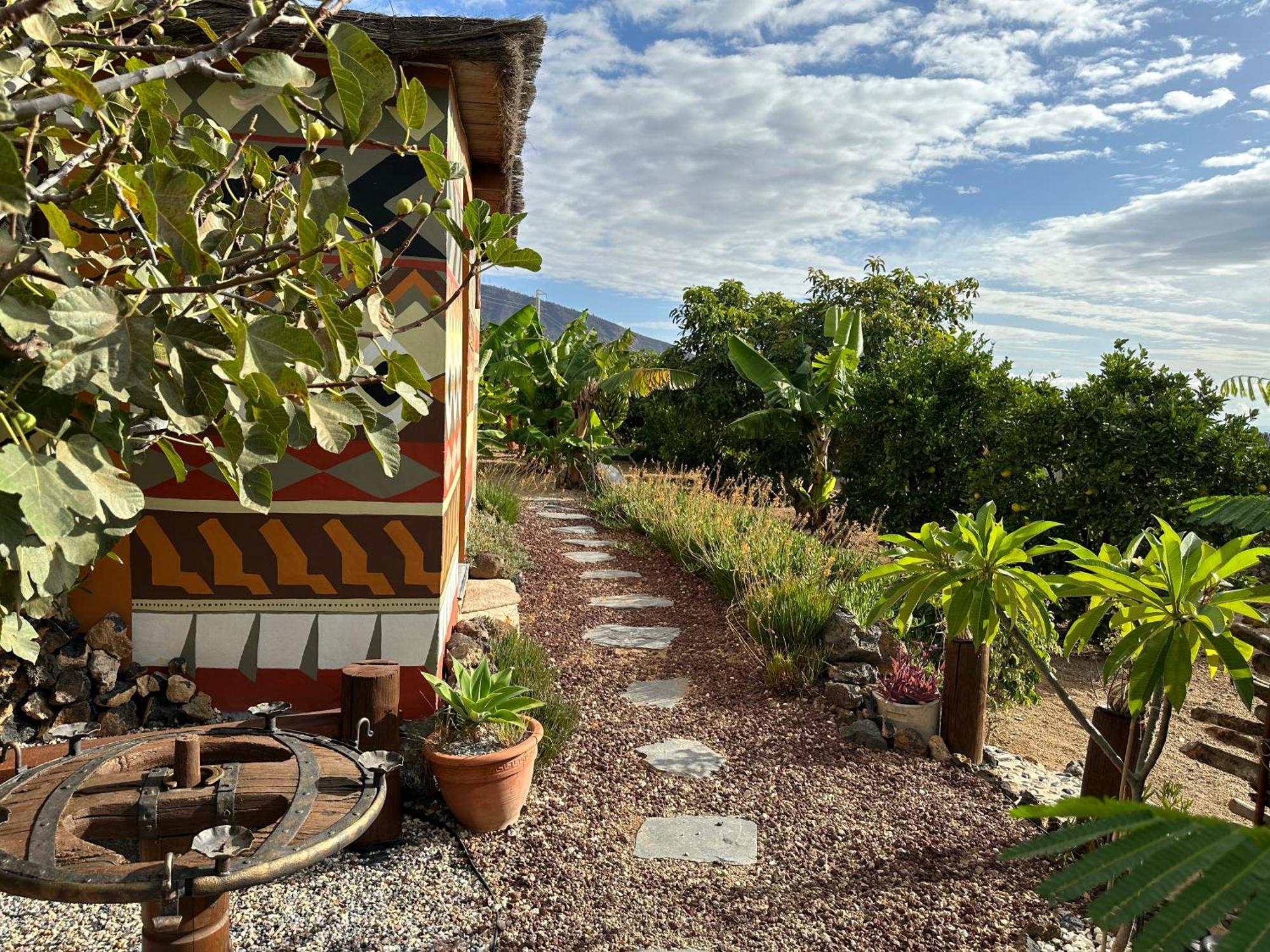Villa Afrikan Krisant Tenerife, Ecologica *